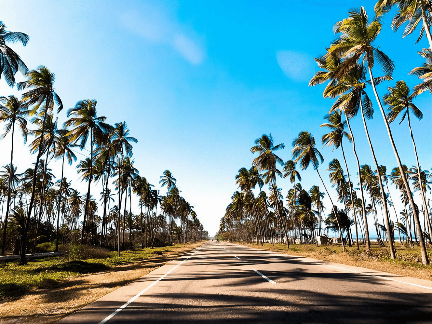 Viajes Preguntas Frecuentes